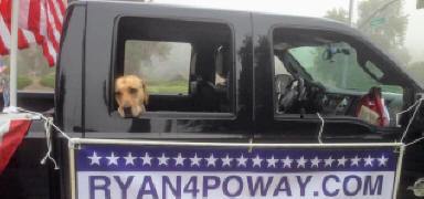 dog in truck window